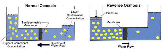 Diagrams illustrating two processes of osmosis