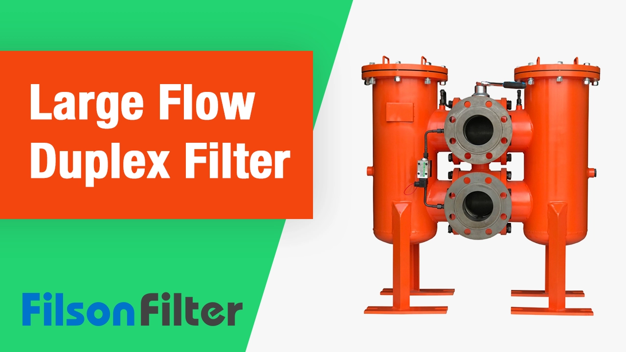 Large Flow Duplex Filter