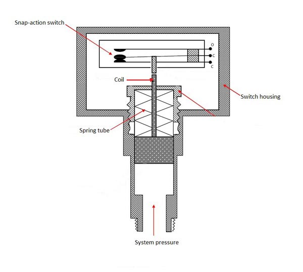 Section of a pressure switch